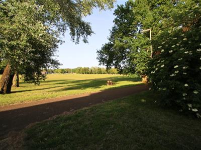 Picture 13